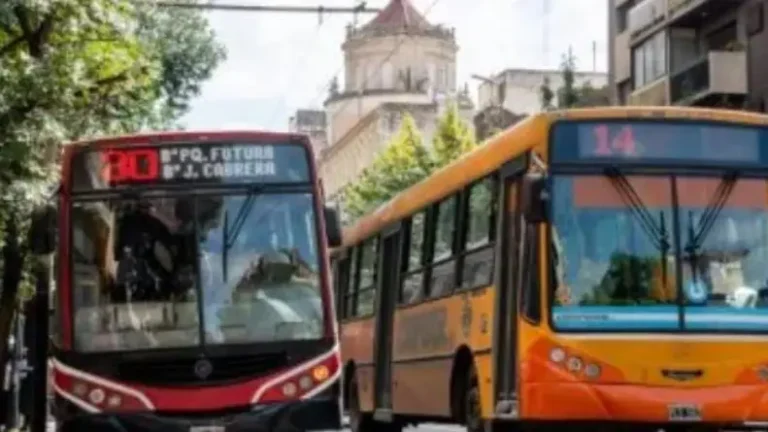 quita de subsidios en transporte