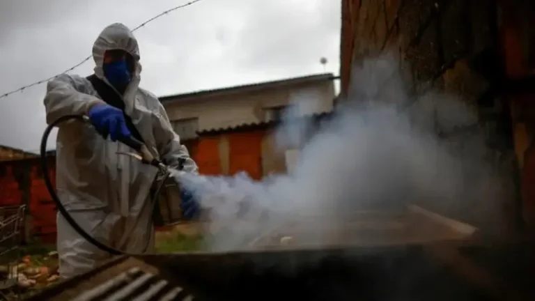 cronograma de fumigación