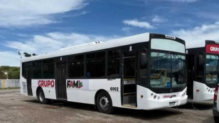 Presentarán el nuevo marco regulatorio del transporte urbano